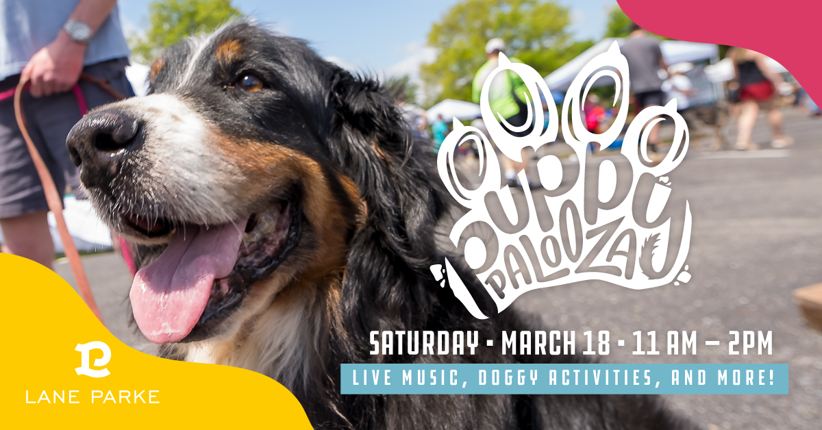 Puppy Palooza Lane Parke